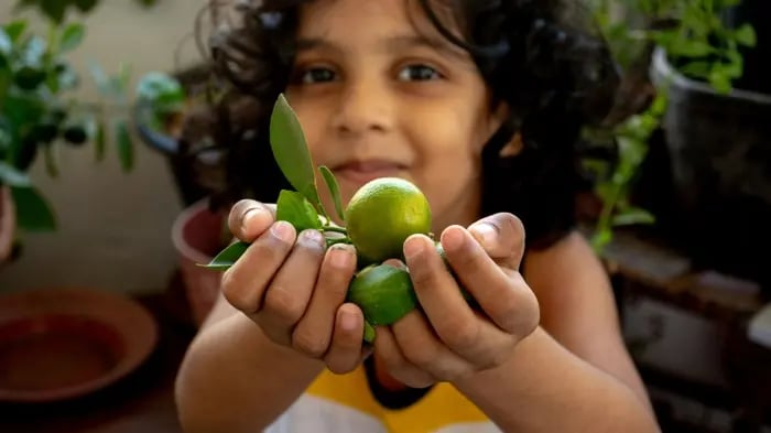 Young Boy Eating Fruits To Stay Healthy