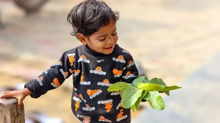 Winter Immunity For Children