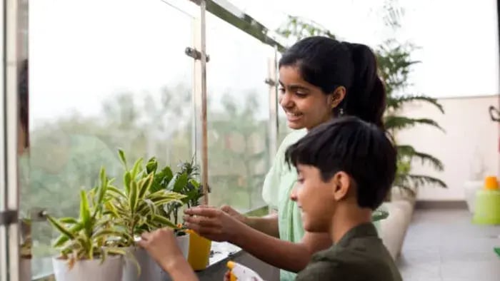Tips For Gardening With Limited