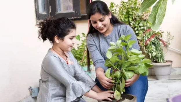 What Is Small Space Gardening?