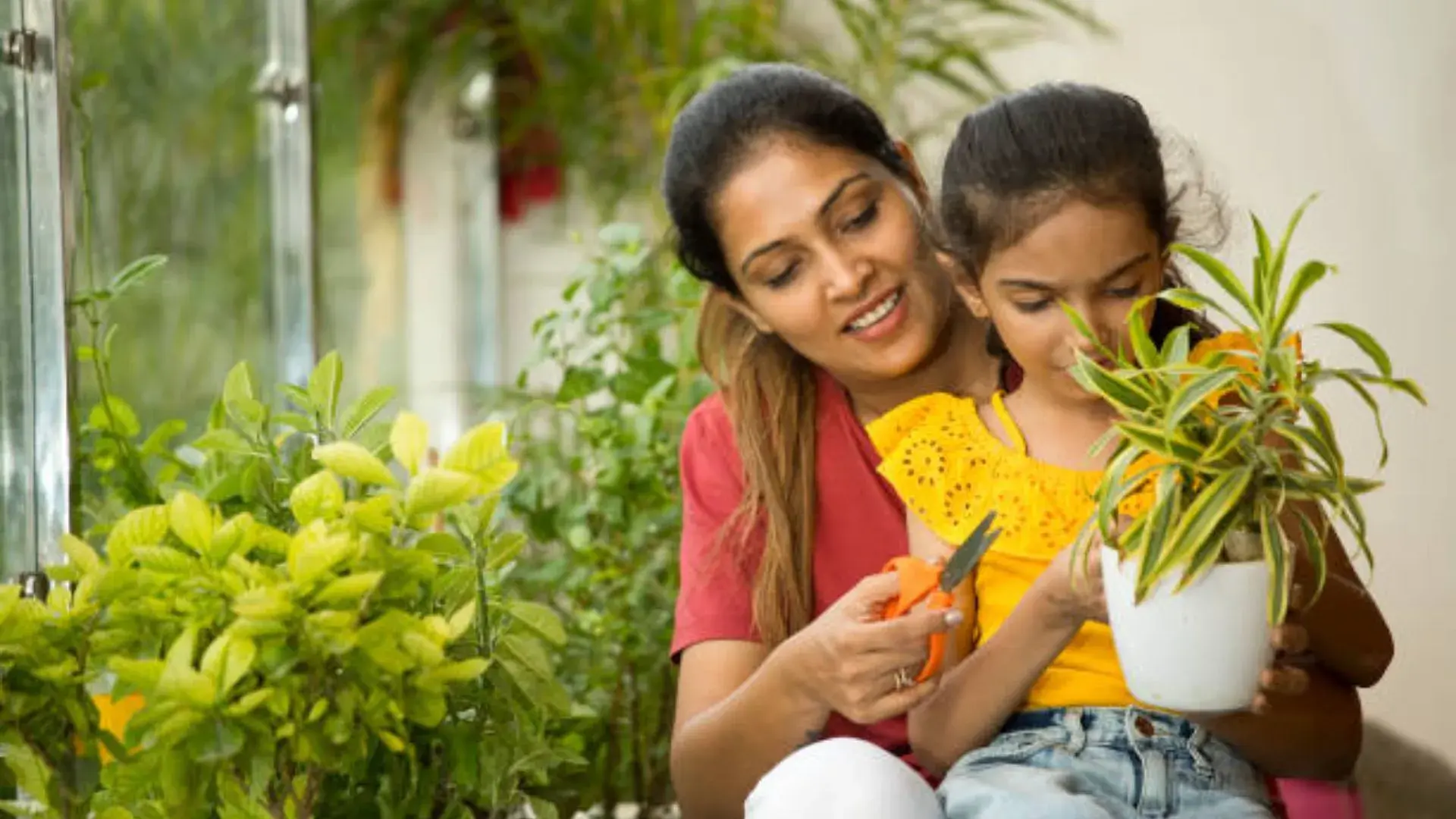 Curated visual reference: Visual Reference: Top Gardening Tips For Urban Families With Limited Space